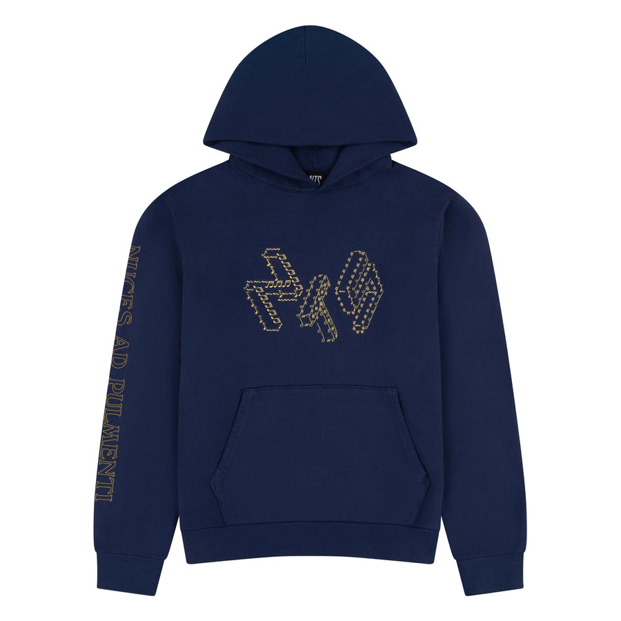 SCHOLARLY NAVY HOODIE