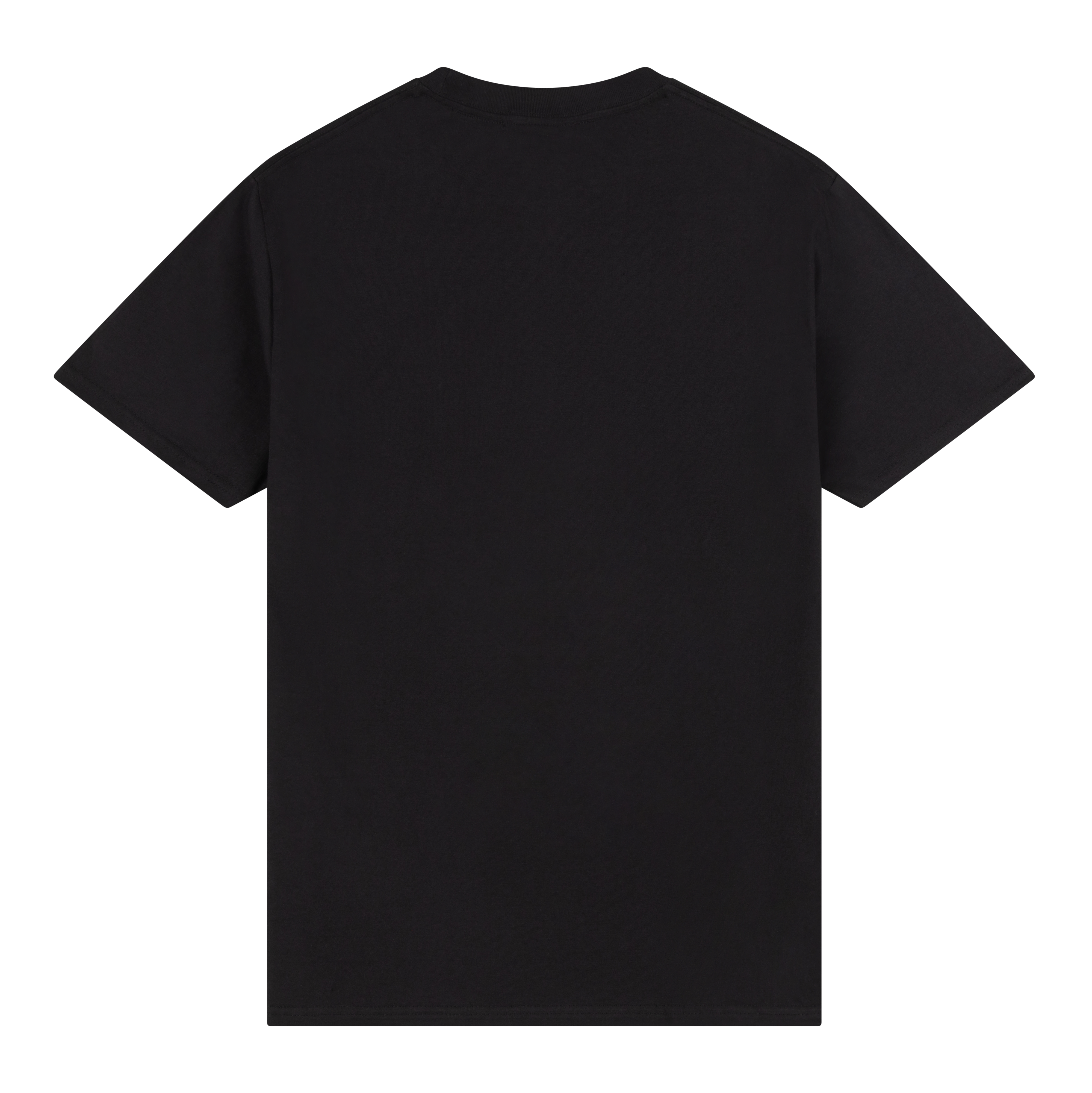 NTS RADIO - One World Two Channels Tee - Black
