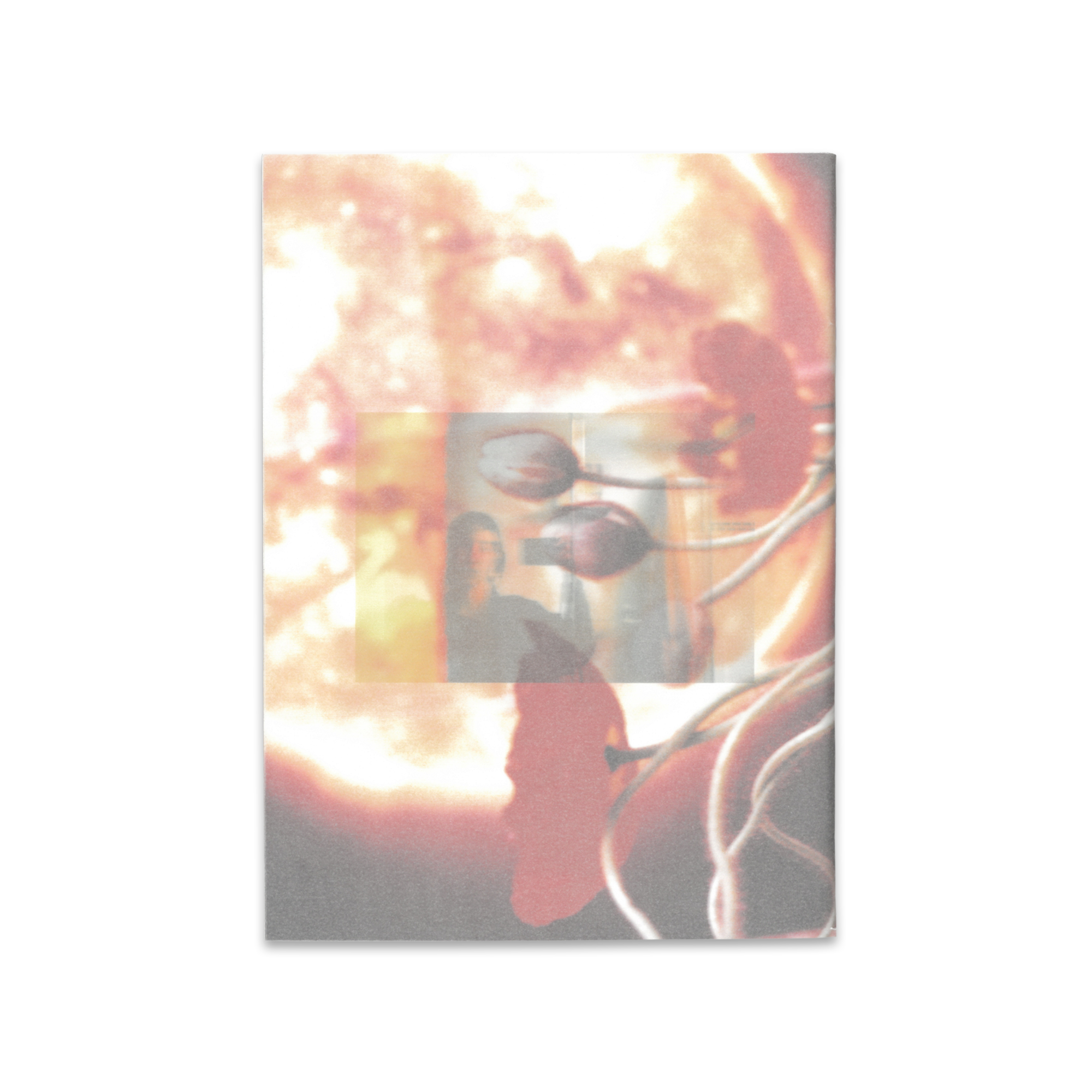 NTS RADIO - Flor de Jamaica - Jazmin Garcia