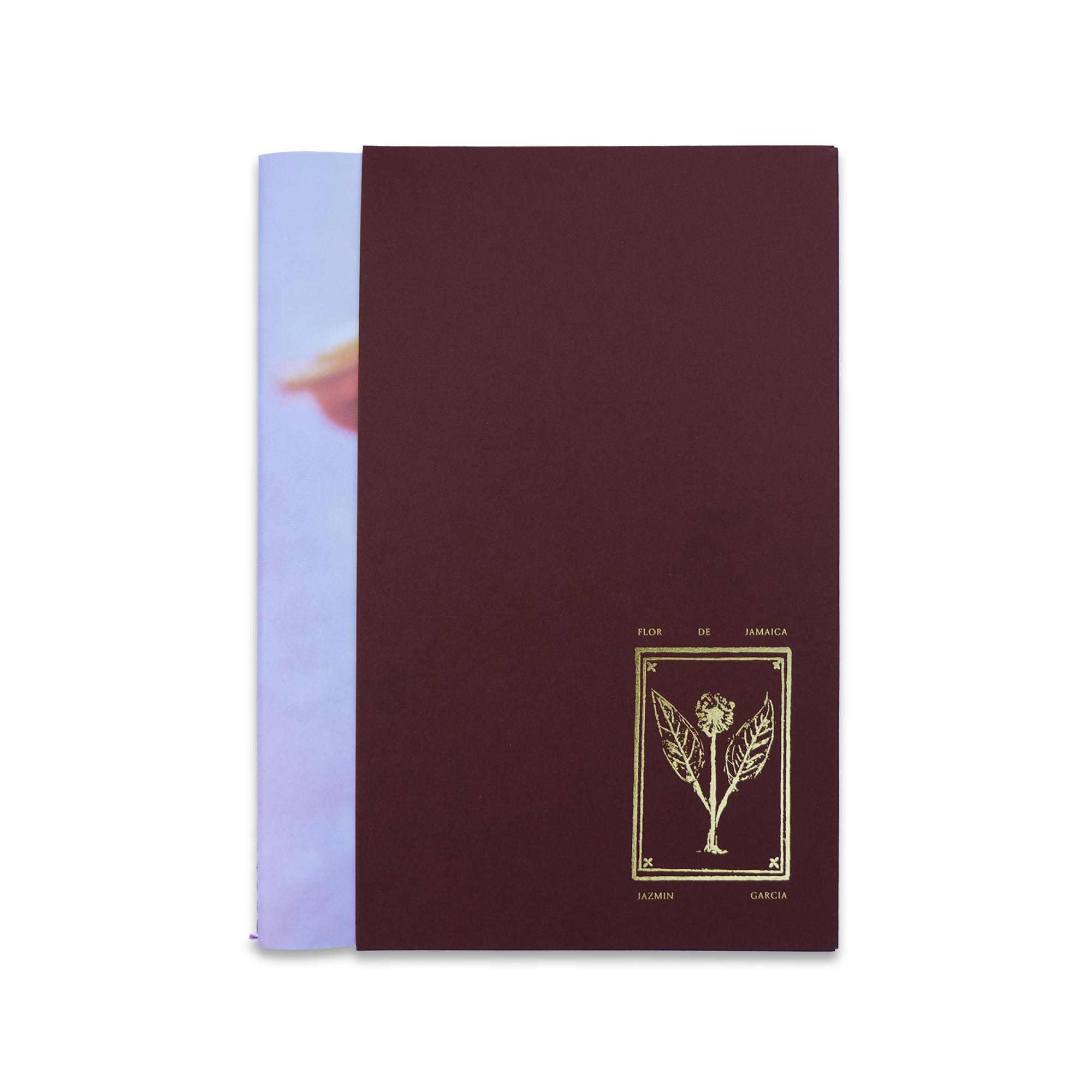 NTS RADIO - Flor de Jamaica - Jazmin Garcia