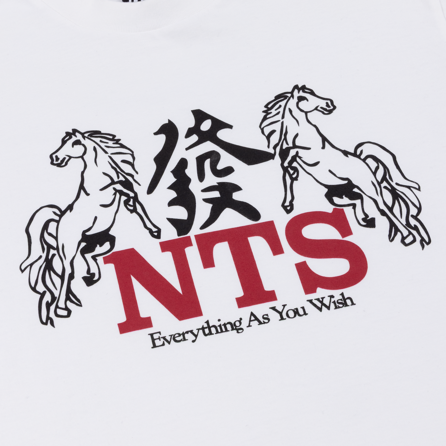 NTS RADIO - Flaming Horse Tee - White