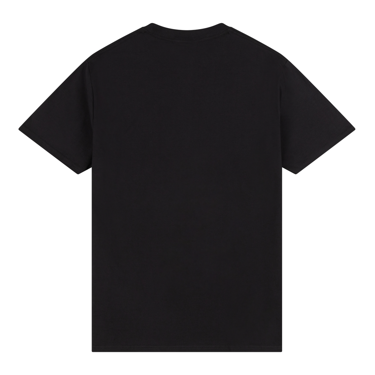 NTS RADIO - One World Two Channels Tee - Black